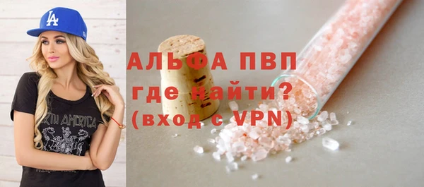 PSILOCYBIN Гусиноозёрск