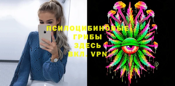 PSILOCYBIN Гусиноозёрск